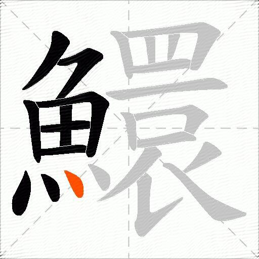 鱞