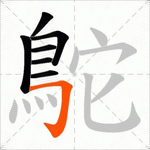 鴕