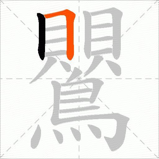 鸎