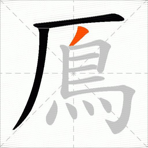 鳫