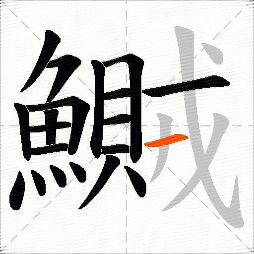 鱡
