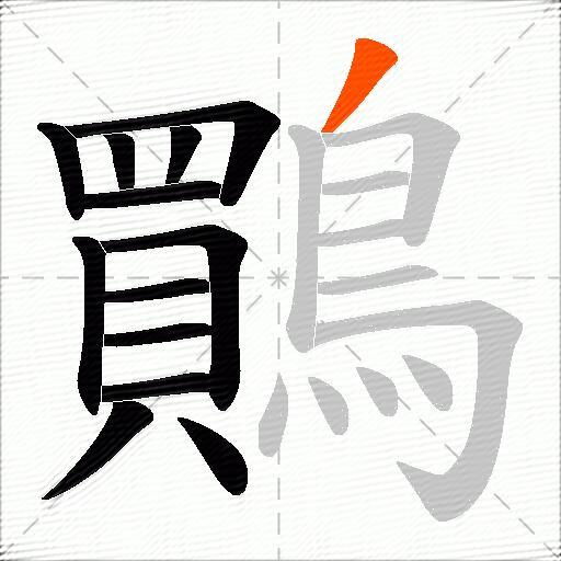 鷶