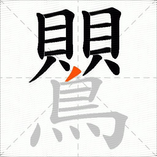 鸎