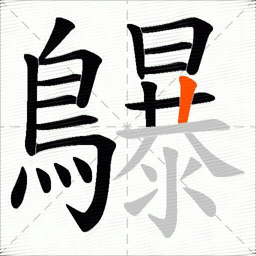 鸔