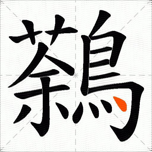 鷋
