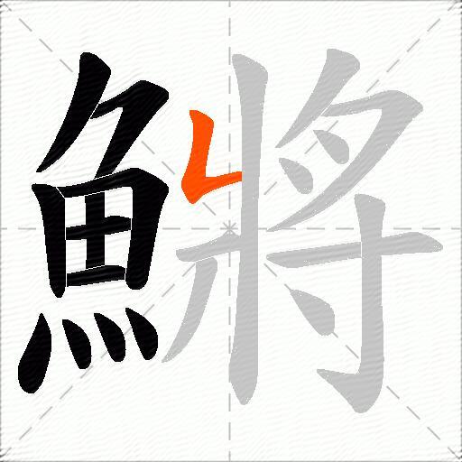 鱂