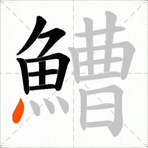 鰽