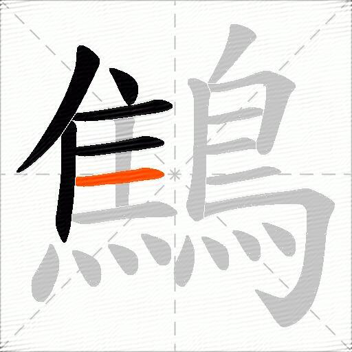 鷦