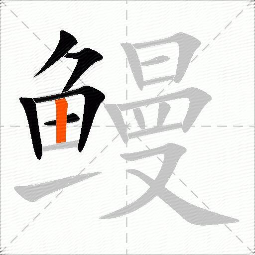 鳗