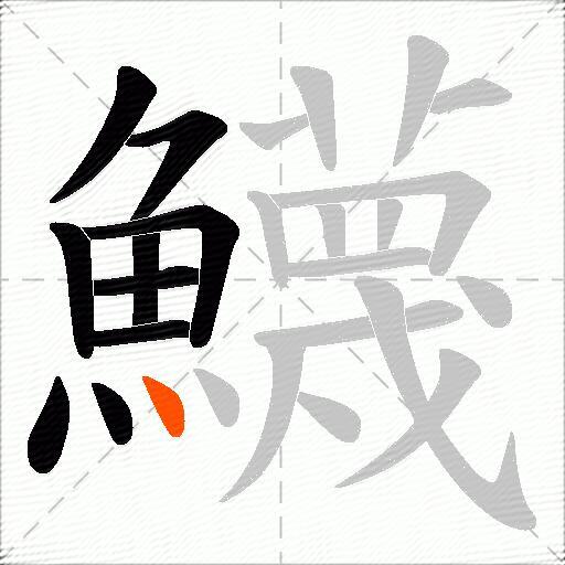 鱴