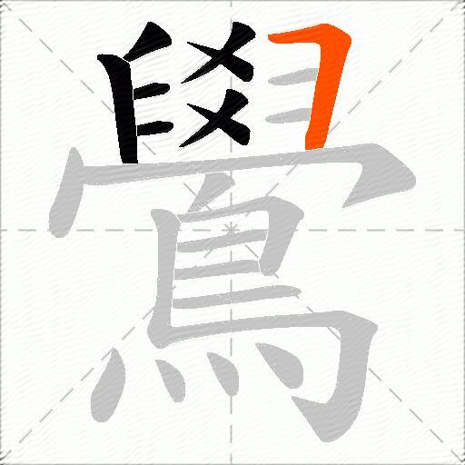 鷽