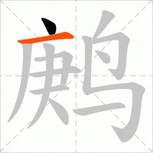 鹒