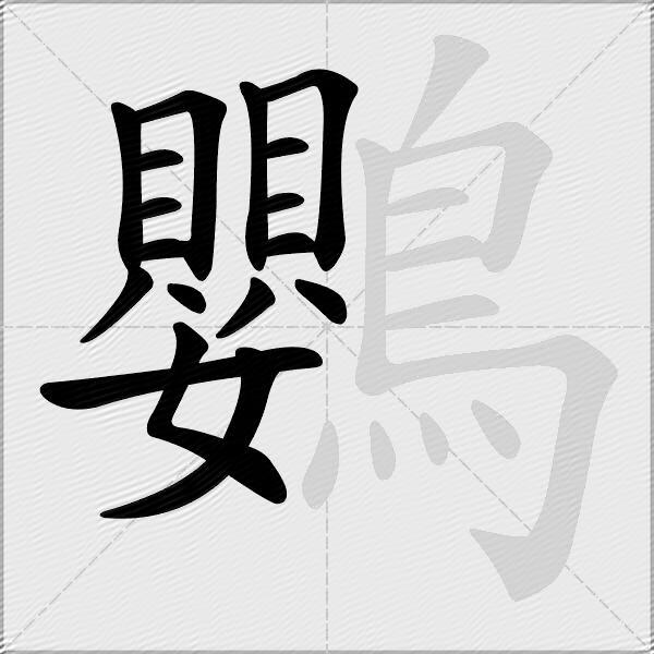 鸚