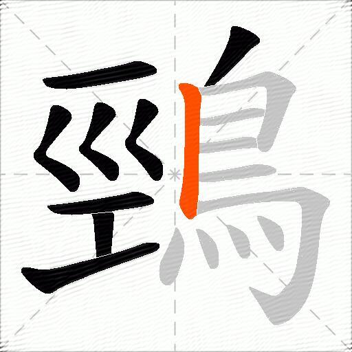 鵛