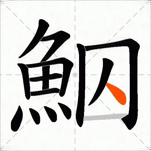 鮂