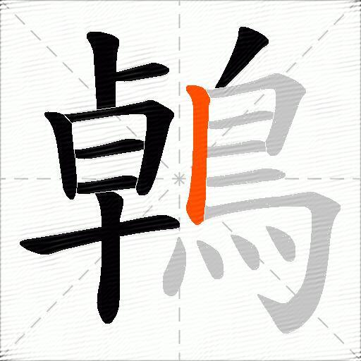 鵫