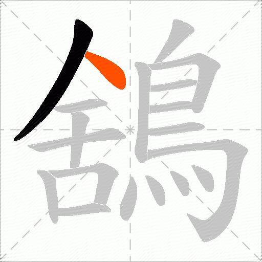 鵨