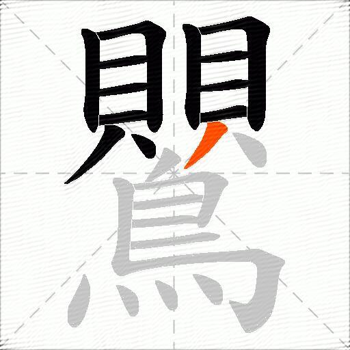 鸎