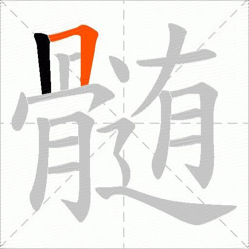 髄