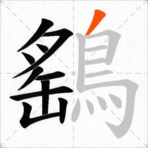 鷂
