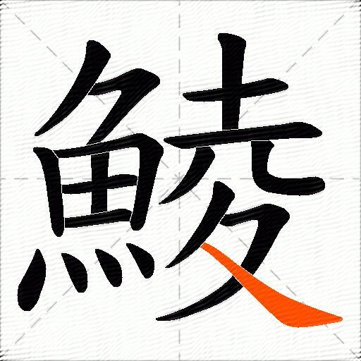 鯪