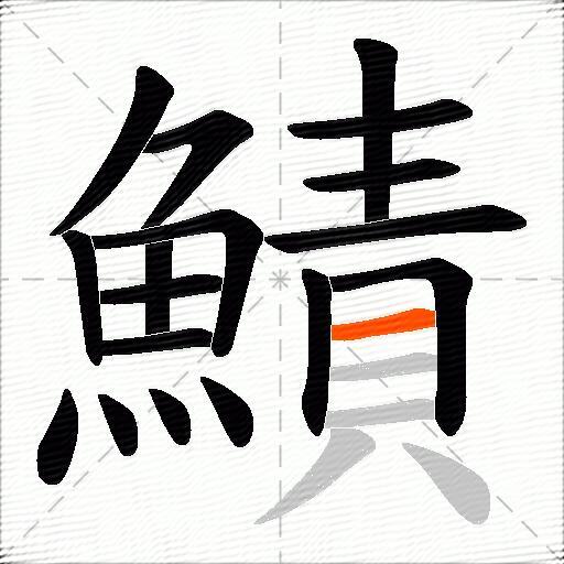 鰿