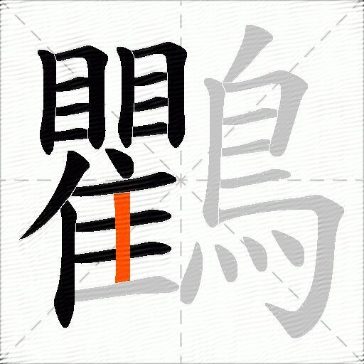 鸜