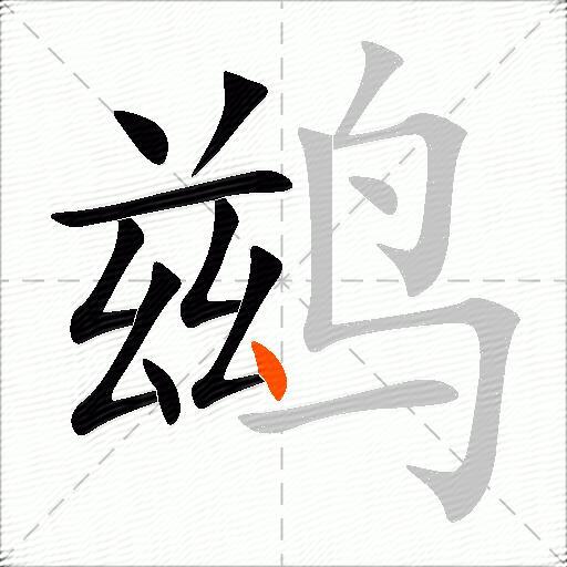 鹚