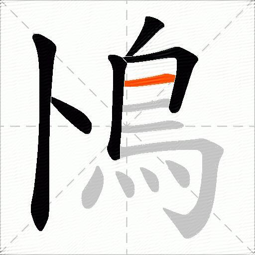 鳪