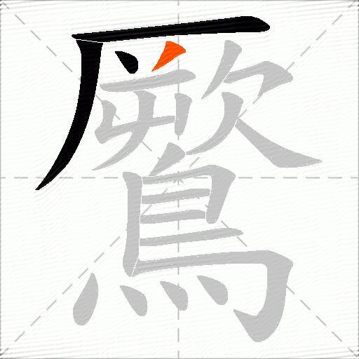 鷢