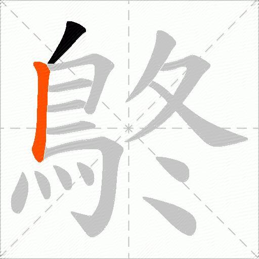 鴤