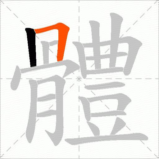 體