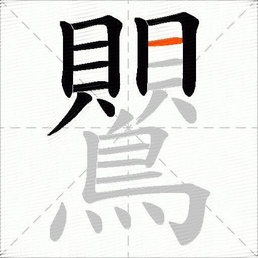 鸎