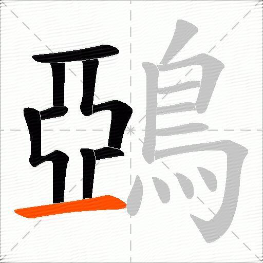 鵶