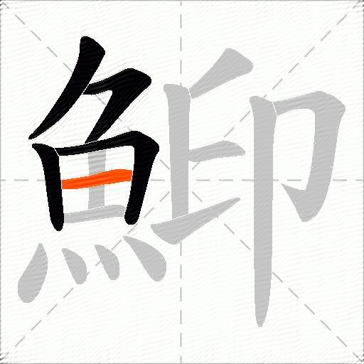 鮣