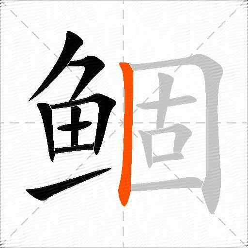 鲴