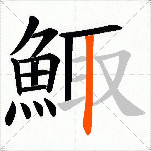 鯫