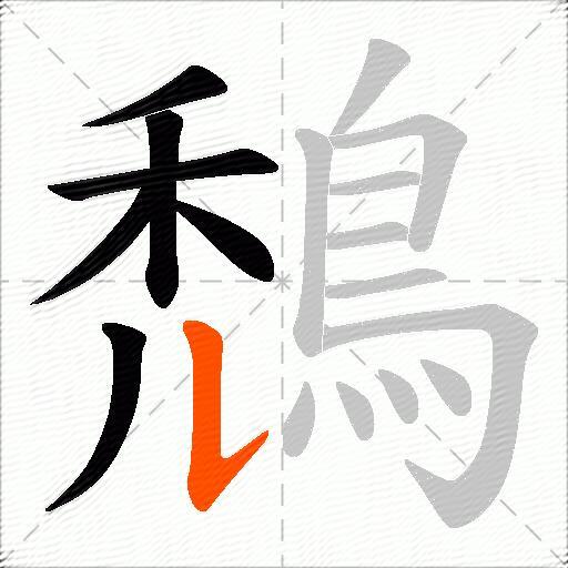 鵚