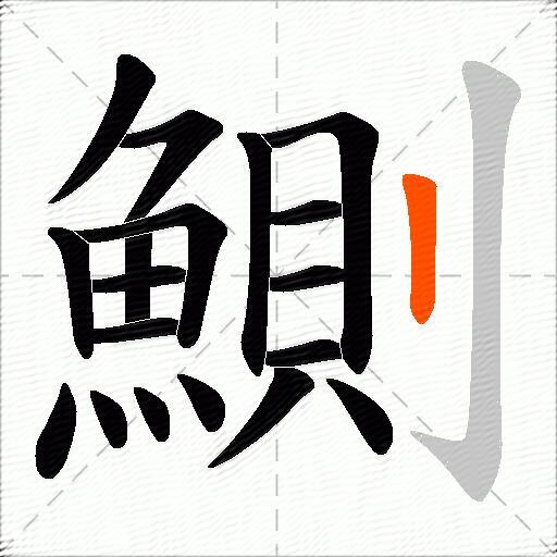 鰂