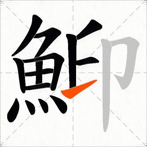 鮣