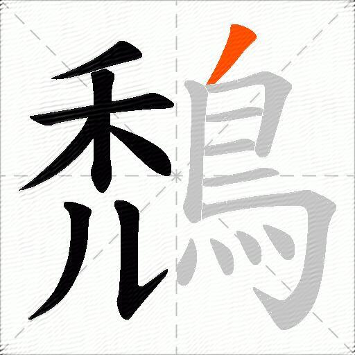 鵚