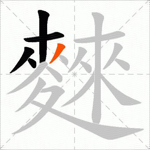 麳