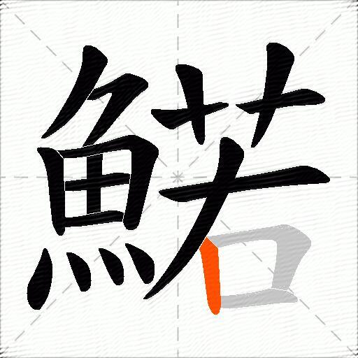 鰙