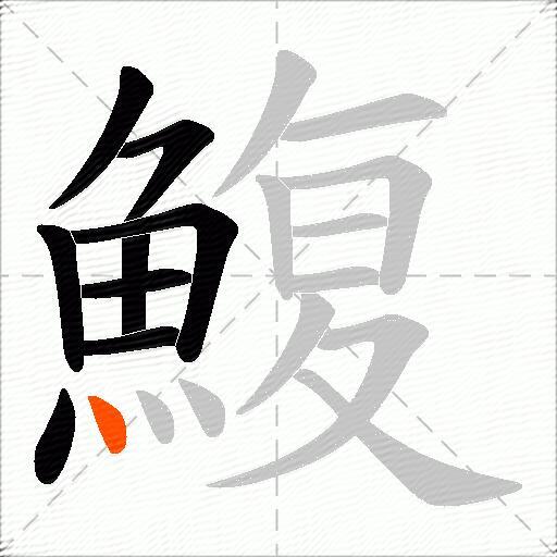 鰒