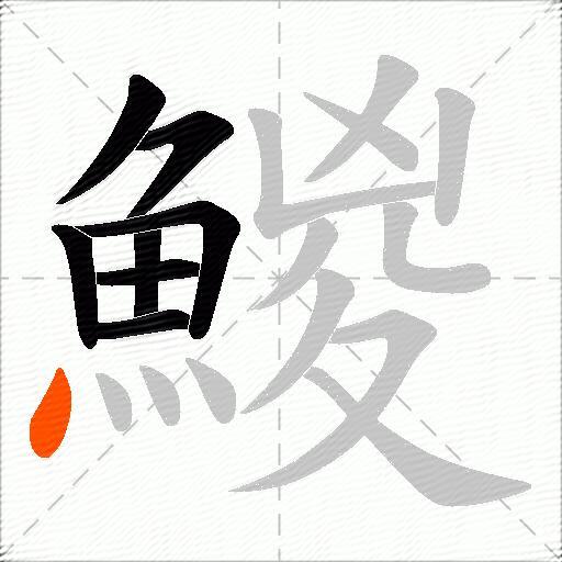 鯼