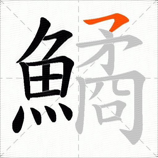 鱊