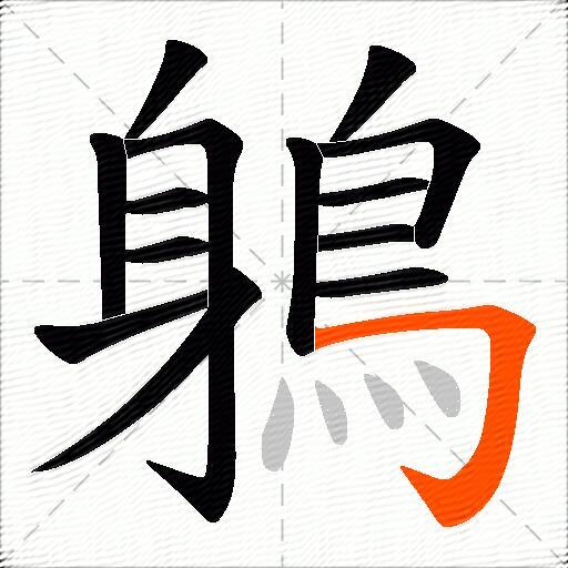 鵢