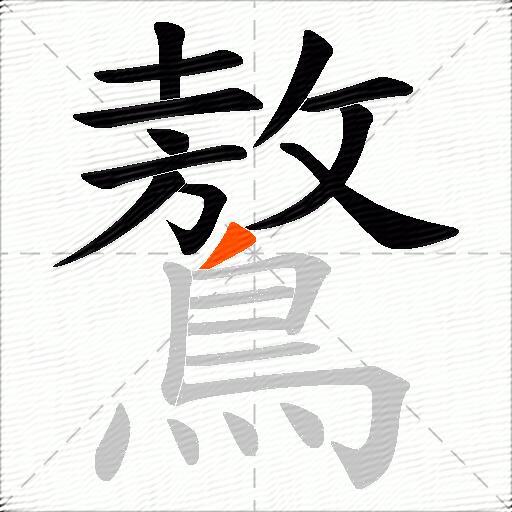 鷔