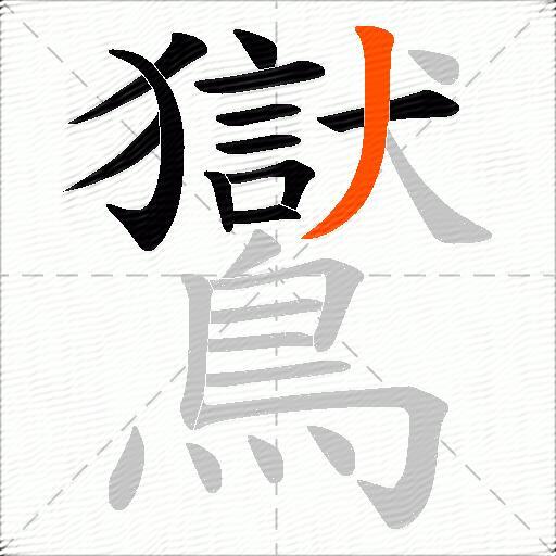 鸑