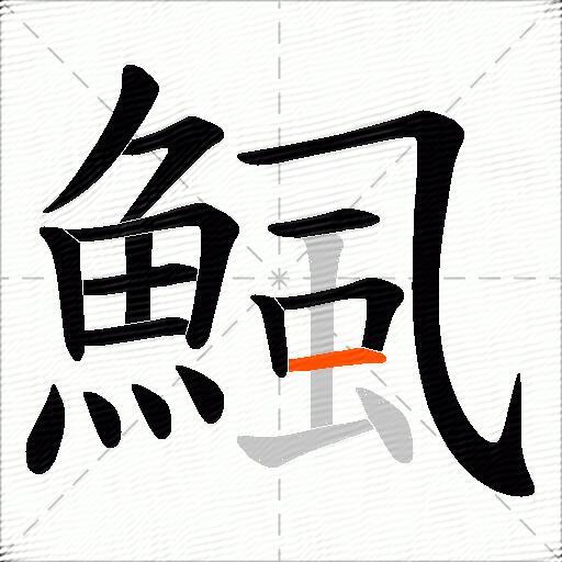 鯴